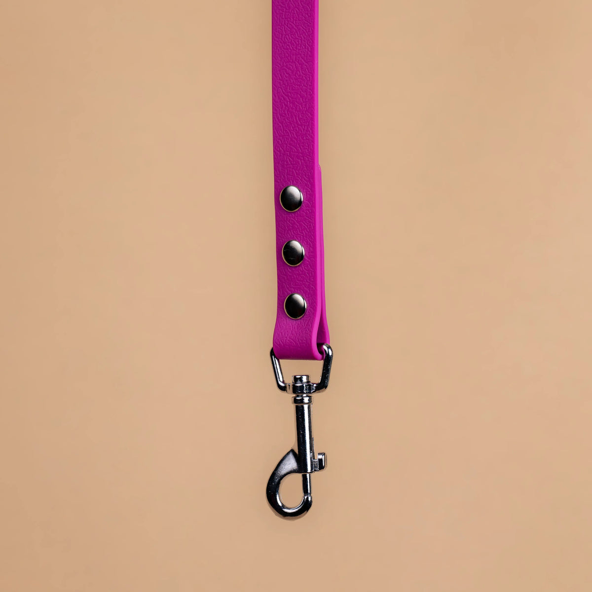 Zoom sur l'attache de la laisse simple pour chien en sangle enduite matière similaire au biothane violet lilas