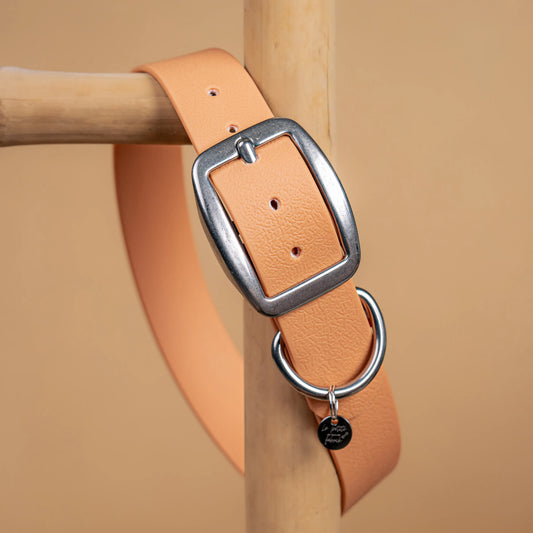 details collier beige vue proche zoom bouclerie en acier inoxydable résistant matière sangle enduite similaire au biothane