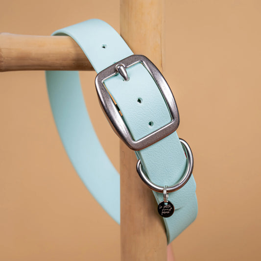 details collier bleu pastel vue proche zoom bouclerie en acier inoxydable résistant matière sangle enduite similaire au biothane