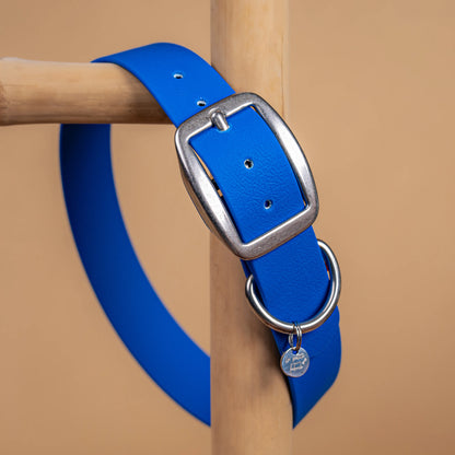 details collier bleu vue proche zoom bouclerie en acier inoxydable résistant matière sangle enduite similaire au biothane