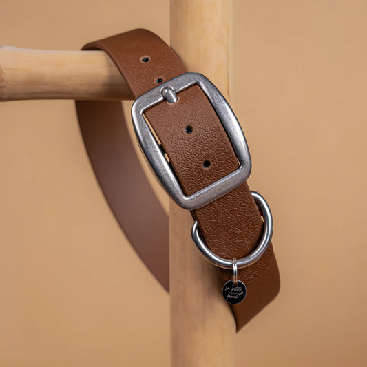 details collier brun vue proche zoom bouclerie en acier inoxydable résistant matière sangle enduite similaire au biothane