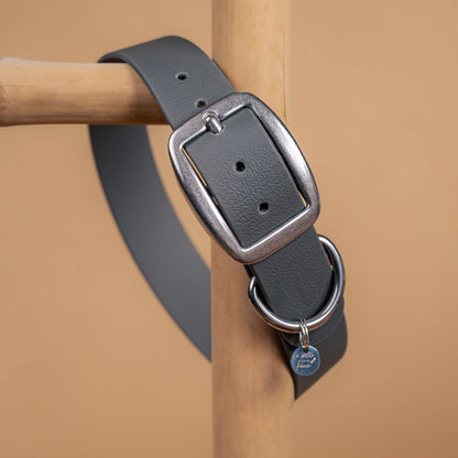 details collier gris vue proche zoom bouclerie en acier inoxydable résistant matière sangle enduite similaire au biothane