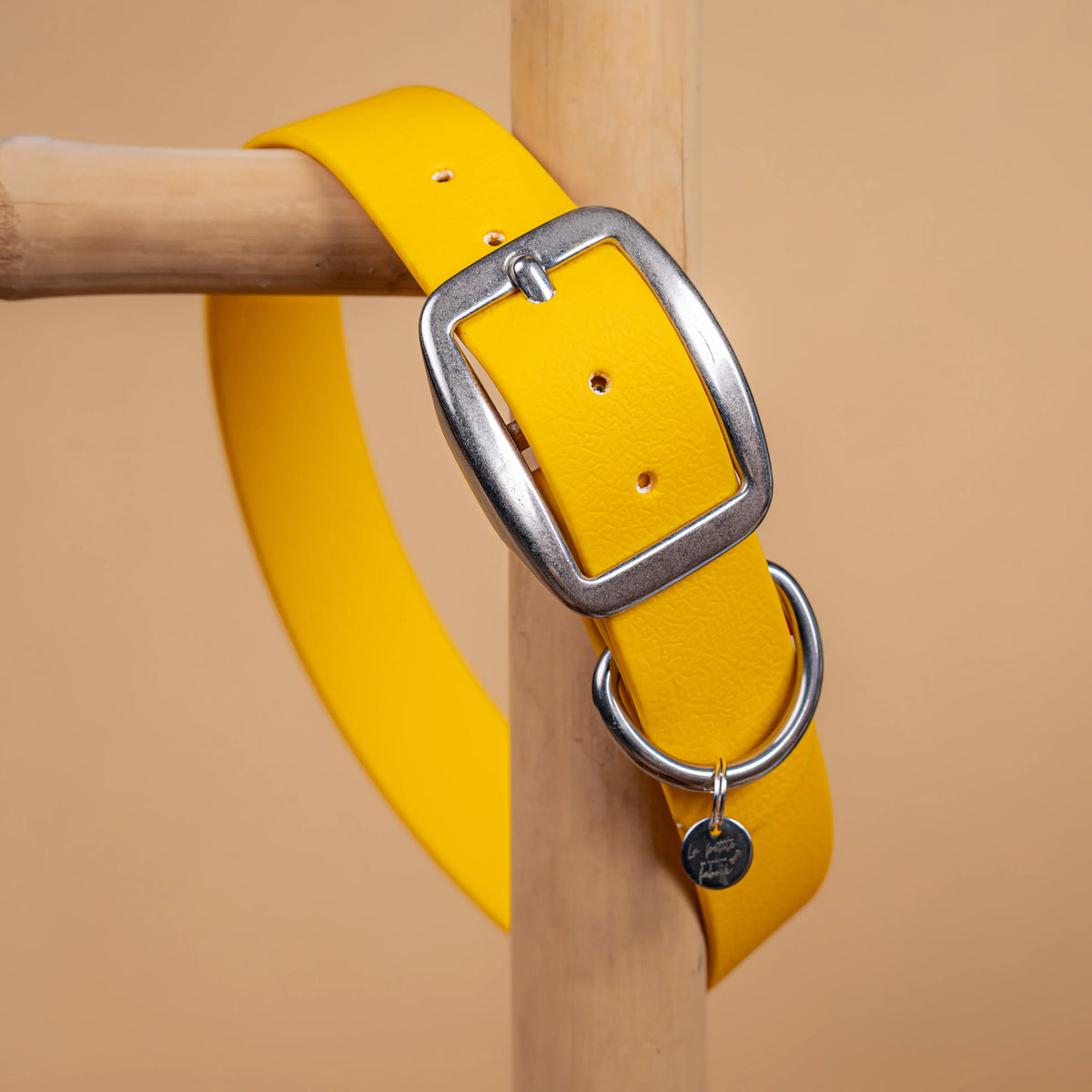 details collier jaune vue proche zoom bouclerie en acier inoxydable résistant matière sangle enduite similaire au biothane