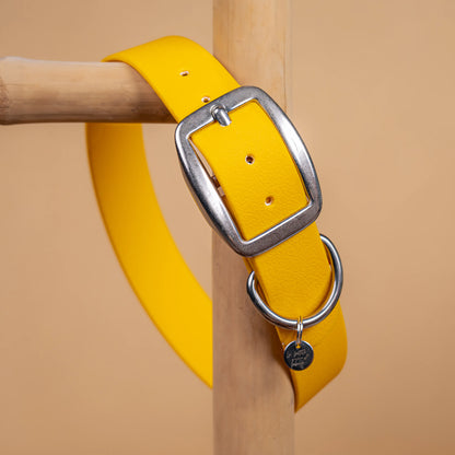 details collier jaune vue proche zoom bouclerie en acier inoxydable résistant matière sangle enduite similaire au biothane