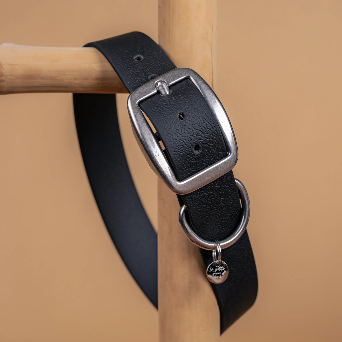 details collier noir vue proche zoom bouclerie en acier inoxydable résistant matière sangle enduite similaire au biothane