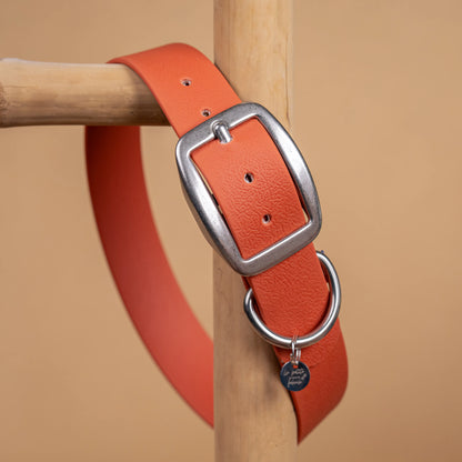 details collier orange terracotta vue proche zoom bouclerie en acier inoxydable résistant matière sangle enduite similaire au biothane
