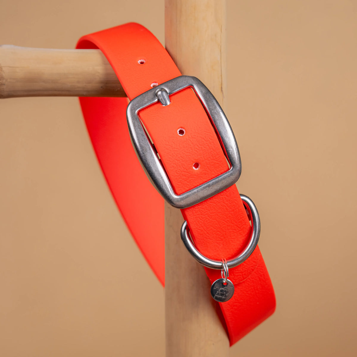 details collier orange vue proche zoom bouclerie en acier inoxydable résistant matière sangle enduite similaire au biothane