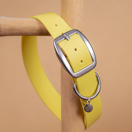 details collier jaune pastel vue proche zoom bouclerie en acier inoxydable résistant matière sangle enduite similaire au biothane