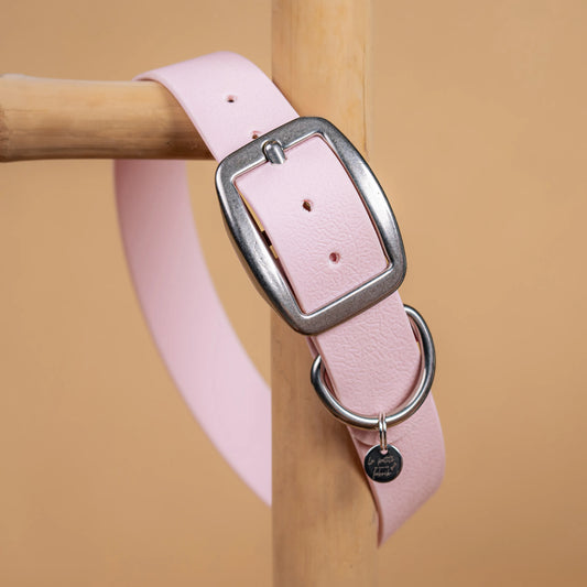 details collier rose pastel vue proche zoom bouclerie en acier inoxydable résistant matière sangle enduite similaire au biothane
