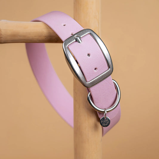 details collier rose lavande vue proche zoom bouclerie en acier inoxydable résistant matière sangle enduite similaire au biothane