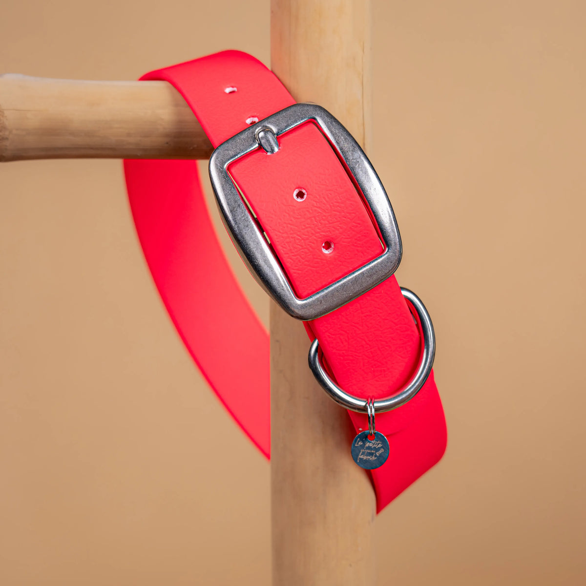 details collier rose vue proche zoom bouclerie en acier inoxydable résistant matière sangle enduite similaire au biothane