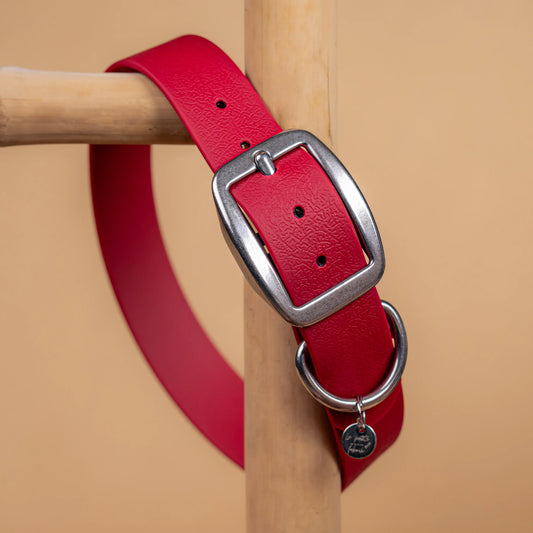 details collier lie de vin vue proche zoom bouclerie en acier inoxydable résistant matière sangle enduite similaire au biothane