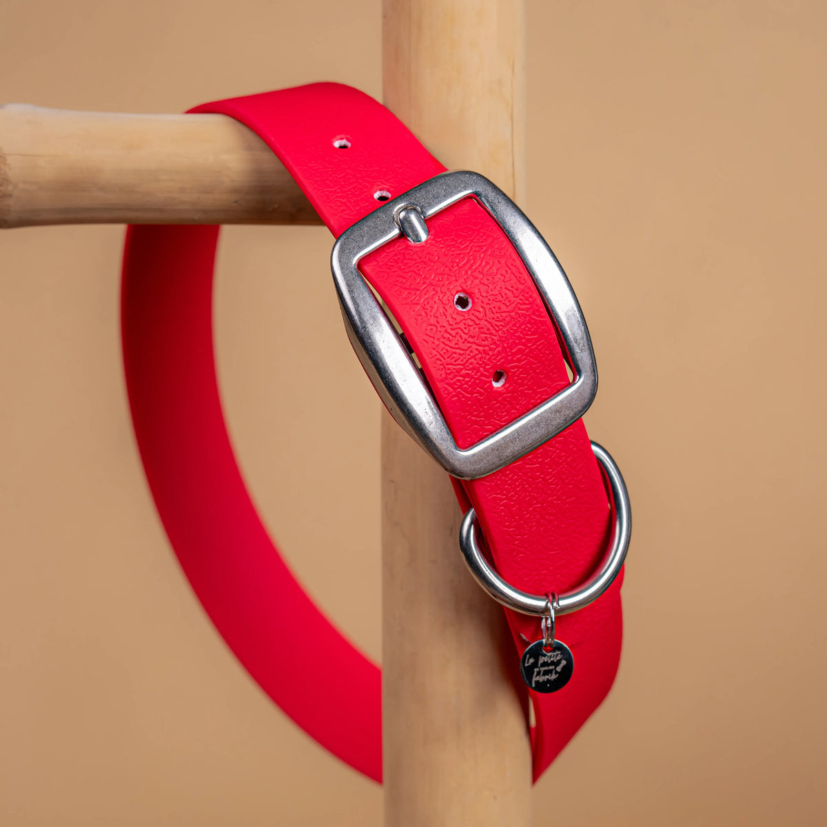 details collier rouge magenta vue proche zoom bouclerie en acier inoxydable résistant matière sangle enduite similaire au biothane