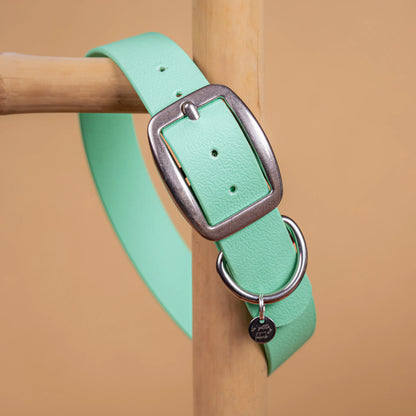 details collier vert caraïbe vue proche zoom bouclerie en acier inoxydable résistant matière sangle enduite similaire au biothane