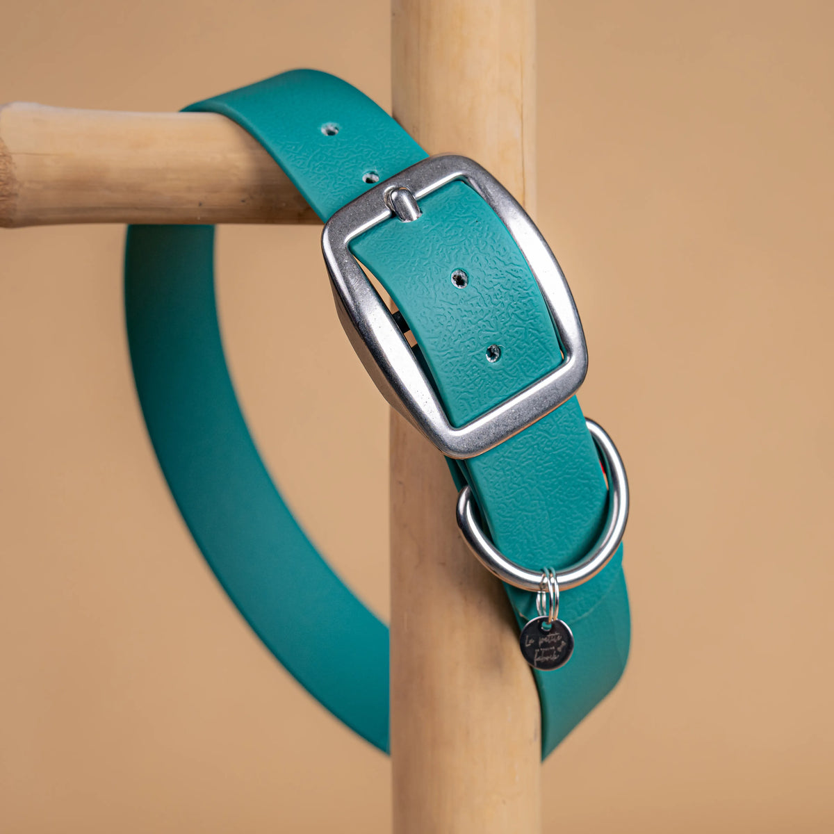 details collier vert chasseur vue proche zoom bouclerie en acier inoxydable résistant matière sangle enduite similaire au biothane