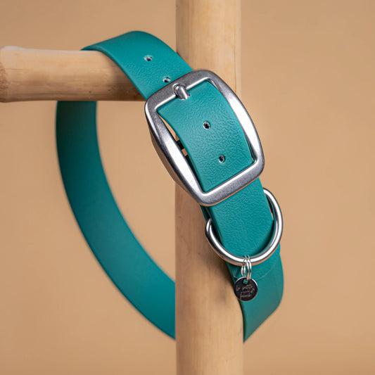 details collier vert chasseur vue proche zoom bouclerie en acier inoxydable résistant matière sangle enduite similaire au biothane