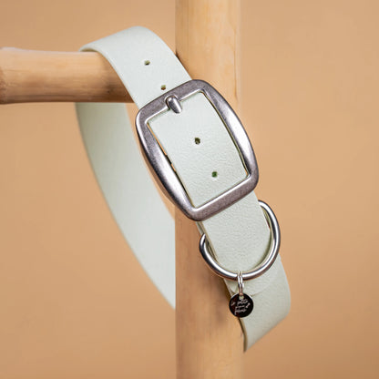 details collier vert menthe vue proche zoom bouclerie en acier inoxydable résistant matière sangle enduite similaire au biothane