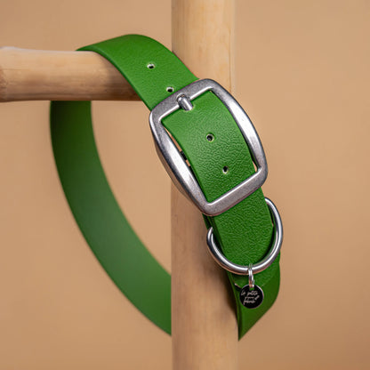 details collier vert olive vue proche zoom bouclerie en acier inoxydable résistant matière sangle enduite similaire au biothane