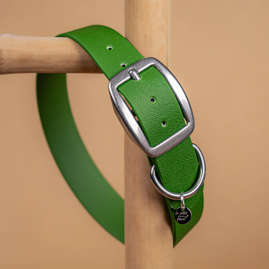 details collier vert olive vue proche zoom bouclerie en acier inoxydable résistant matière sangle enduite similaire au biothane