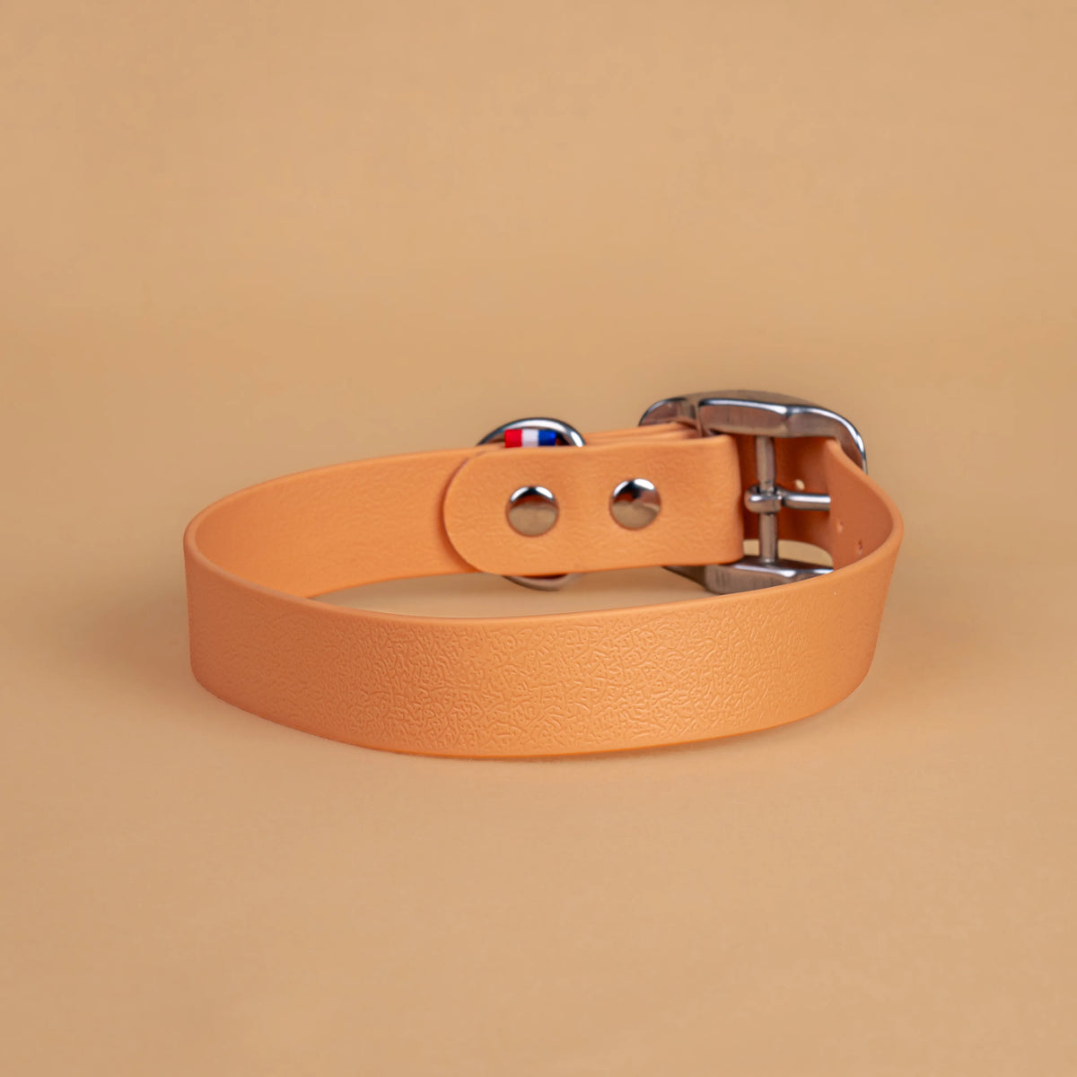 Collier beige en sangle enduite étanche similaire au biothane vu de l'arrière