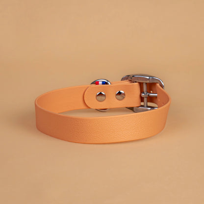 Collier beige en sangle enduite étanche similaire au biothane vu de l'arrière