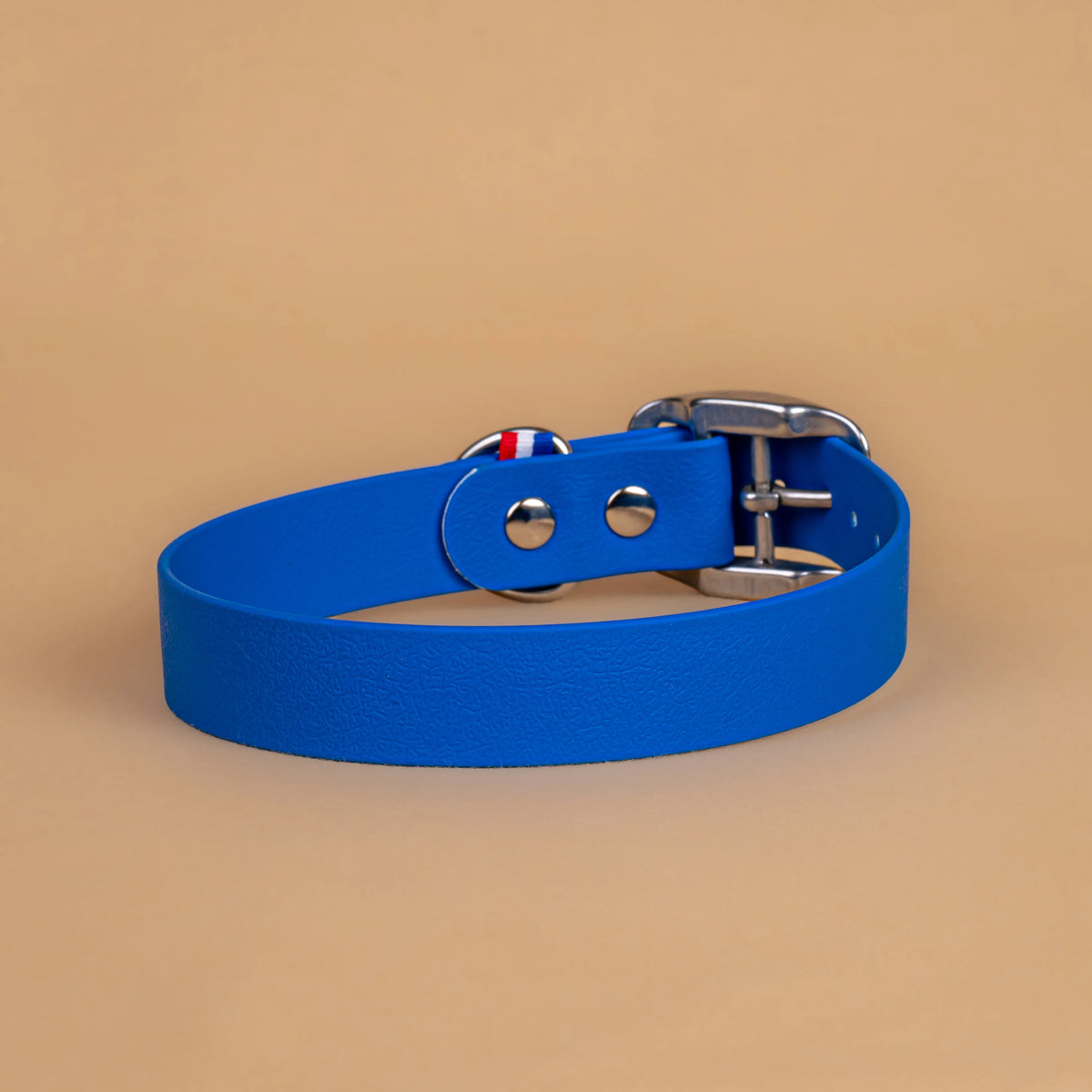 Collier bleu en sangle enduite étanche similaire au biothane vu de l'arrière