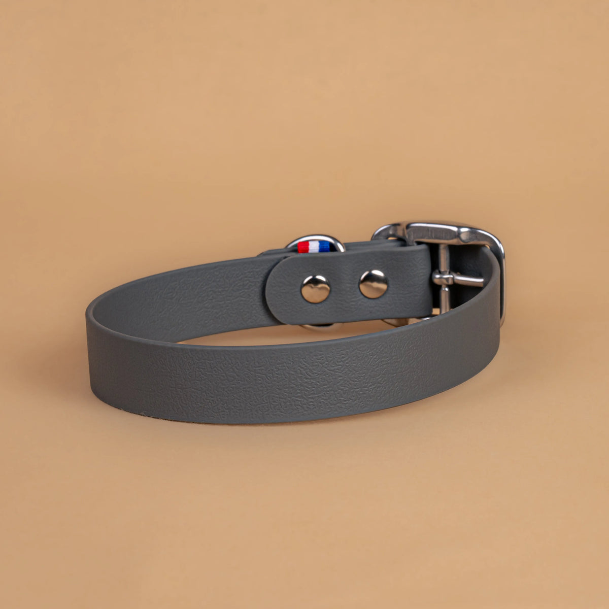 Collier gris en sangle enduite étanche similaire au biothane vu de l'arrière