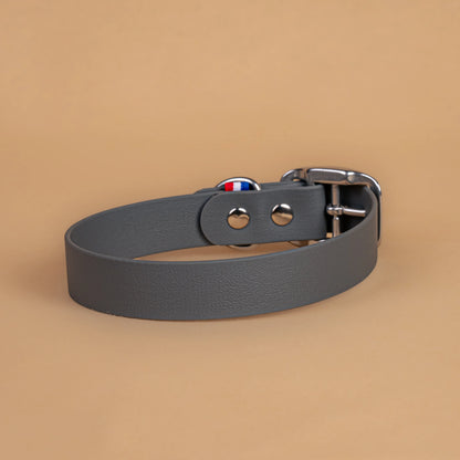 Collier gris en sangle enduite étanche similaire au biothane vu de l'arrière