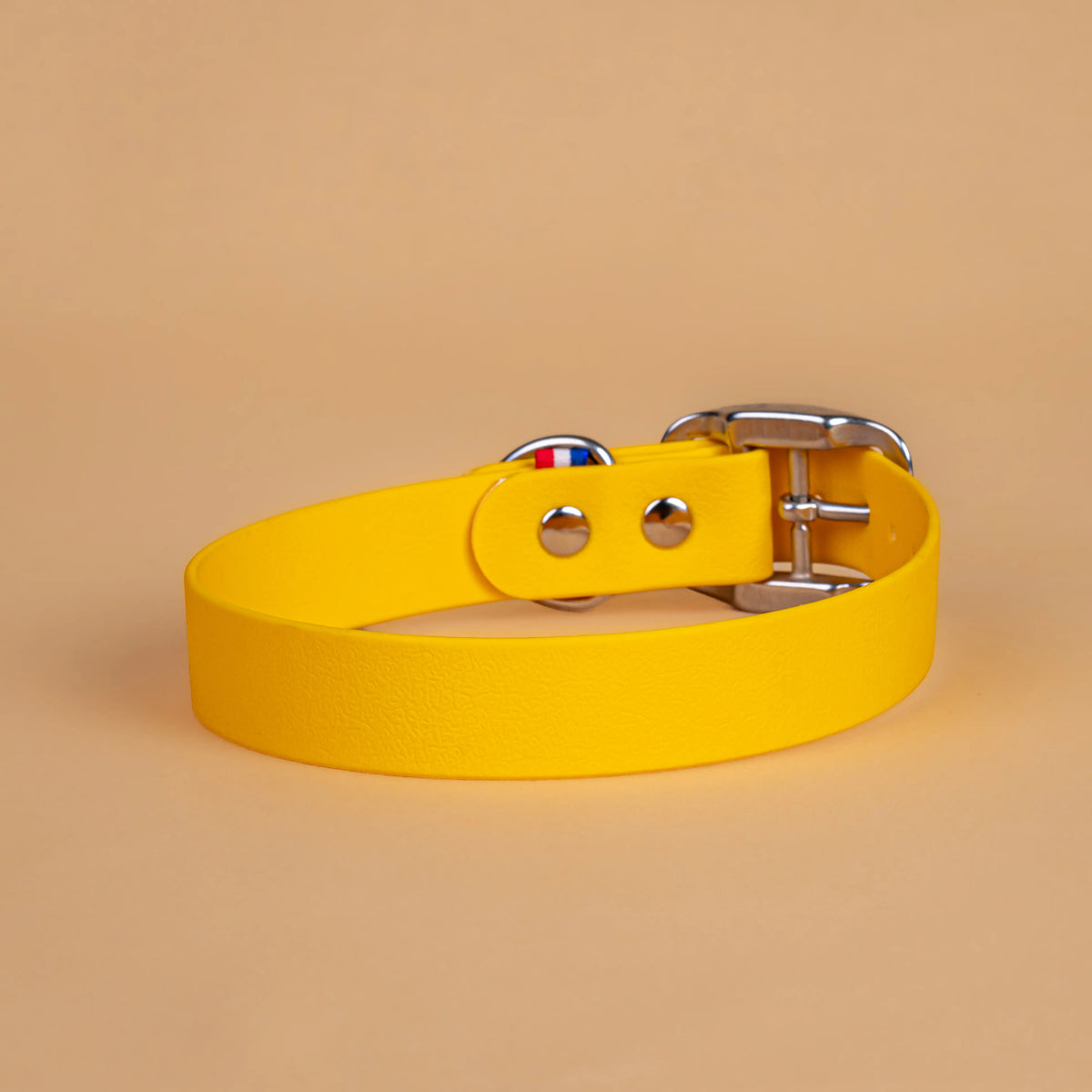 Collier jaune en sangle enduite étanche similaire au biothane vu de l'arrière