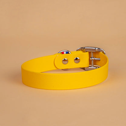 Collier jaune en sangle enduite étanche similaire au biothane vu de l'arrière