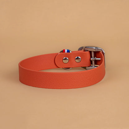 Collier orange terracotta en sangle enduite étanche similaire au biothane vu de l'arrière