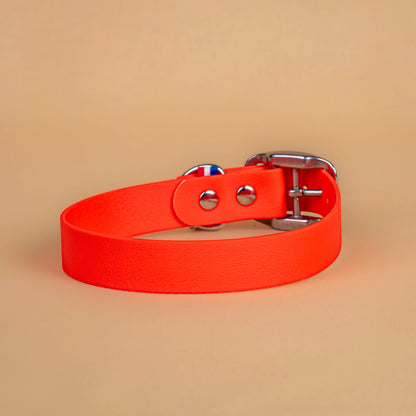 Collier orange en sangle enduite étanche similaire au biothane vu de l'arrière