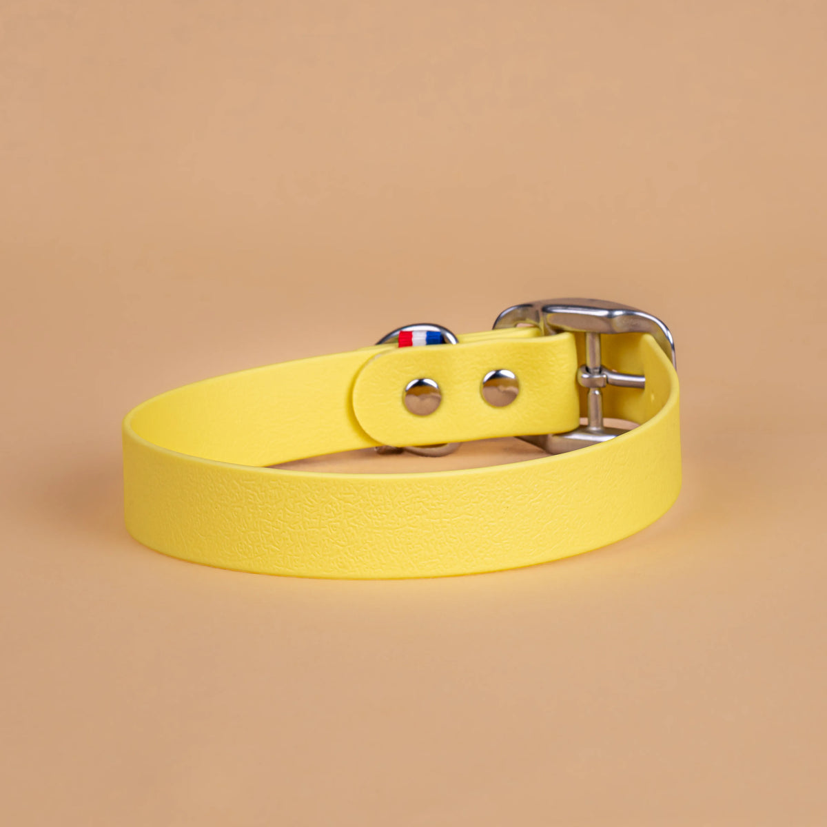 Collier jaune pastel en sangle enduite étanche similaire au biothane vu de l'arrière