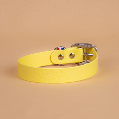 Collier jaune pastel en sangle enduite étanche similaire au biothane vu de l'arrière