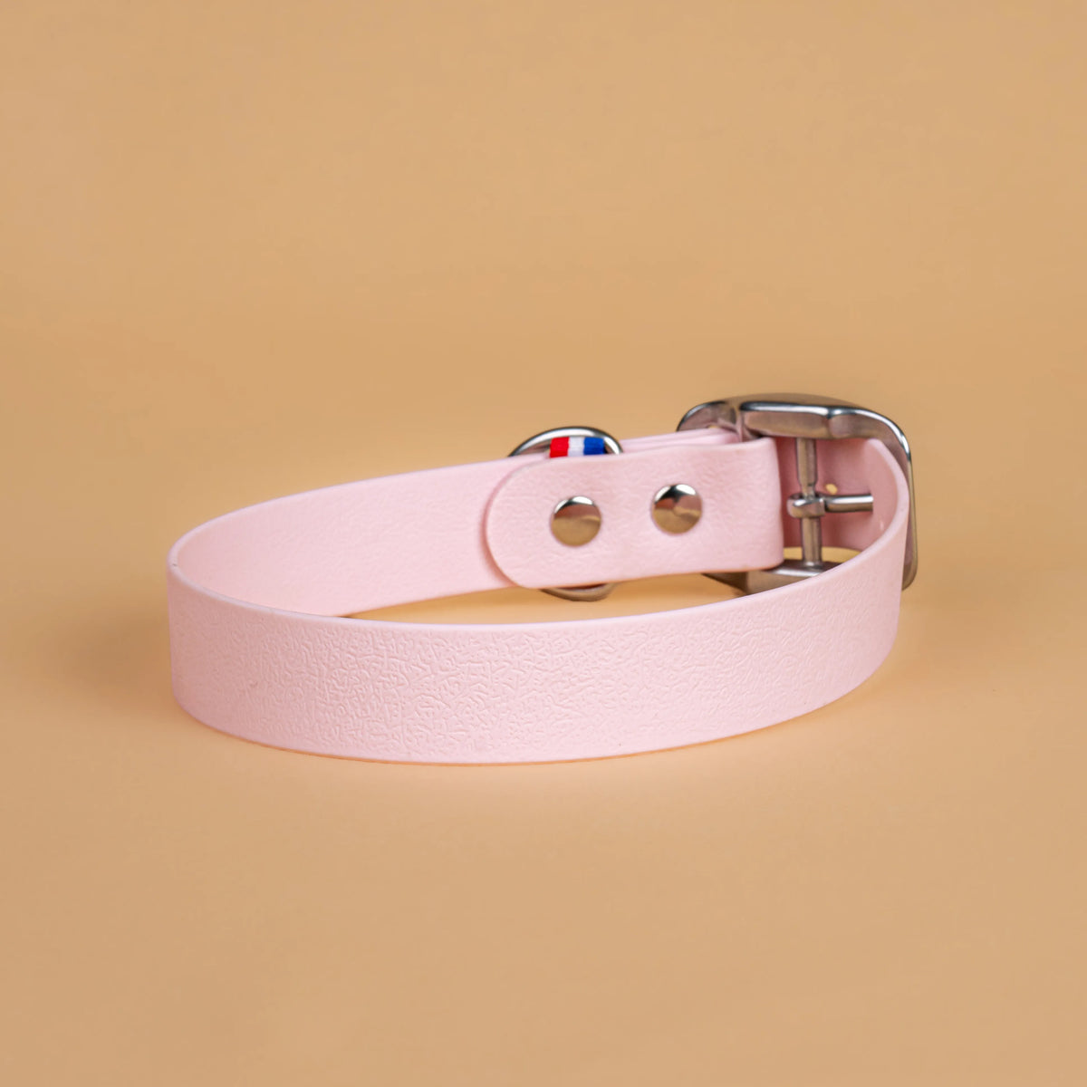 Collier rose pastel en sangle enduite étanche similaire au biothane vu de l'arrière