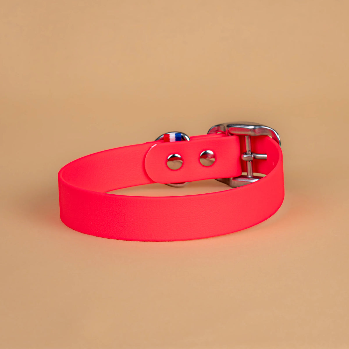 Collier rose en sangle enduite étanche similaire au biothane vu de l'arrière