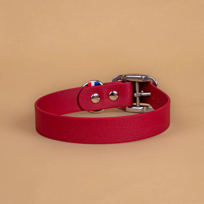 Collier lie de vin en sangle enduite étanche similaire au biothane vu de l'arrière