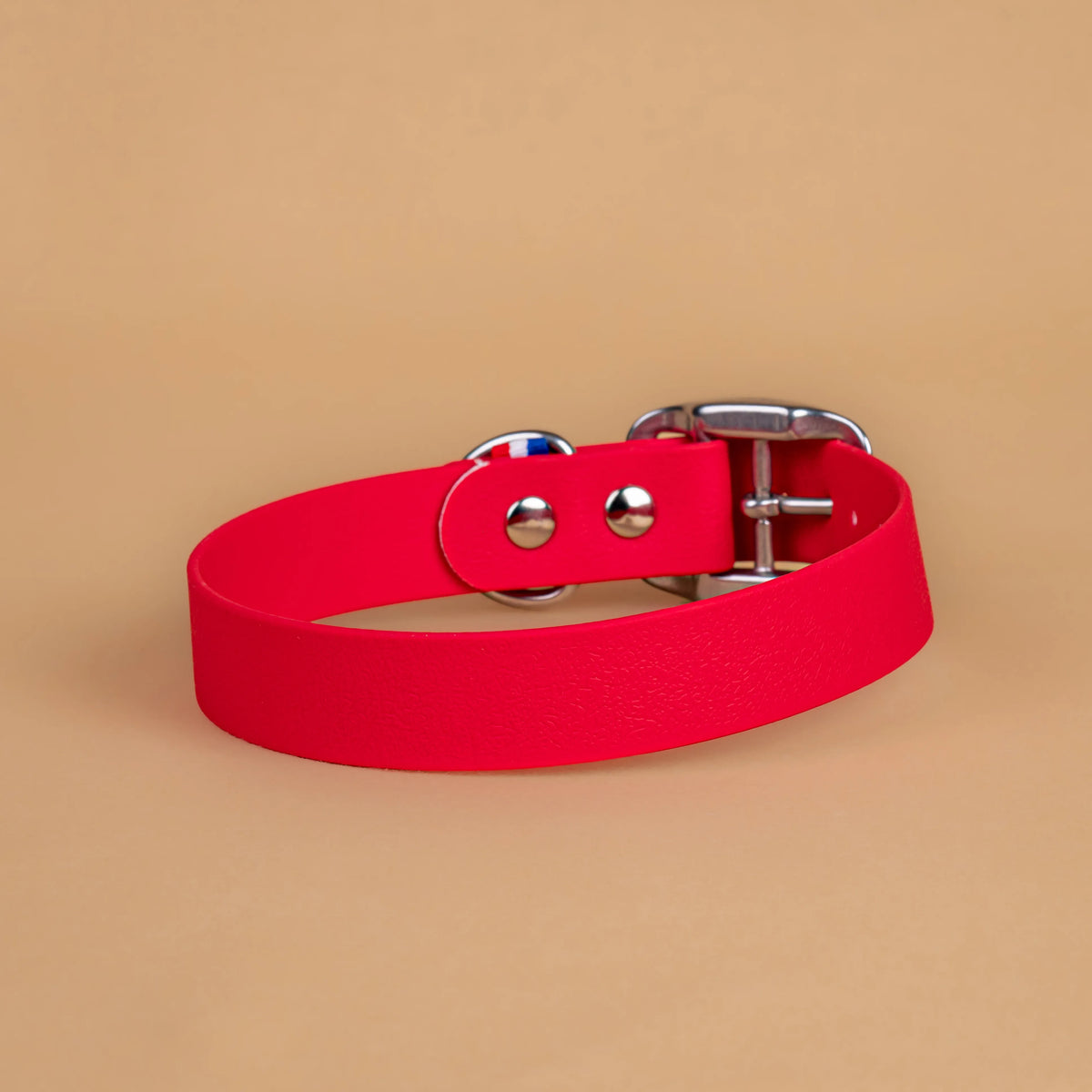 Collier rouge magenta en sangle enduite étanche similaire au biothane vu de l'arrière
