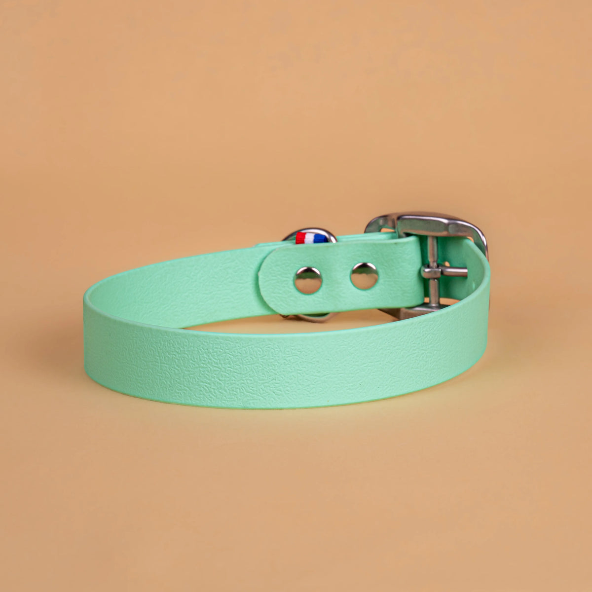 Collier vert caraïbe en sangle enduite étanche similaire au biothane vu de l'arrière