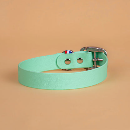 Collier vert caraïbe en sangle enduite étanche similaire au biothane vu de l'arrière
