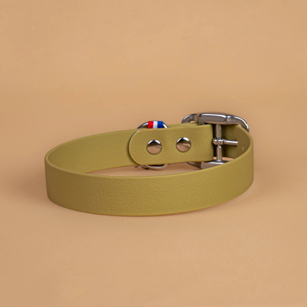Collier vert kaki clair en sangle enduite étanche similaire au biothane vu de l'arrière