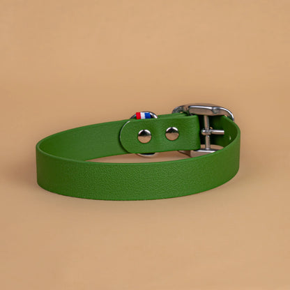 Collier vert olive en sangle enduite étanche similaire au biothane vu de l'arrière