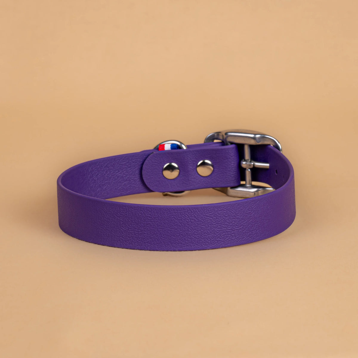 Collier violet pourpre en sangle enduite étanche similaire au biothane vu de l'arrière
