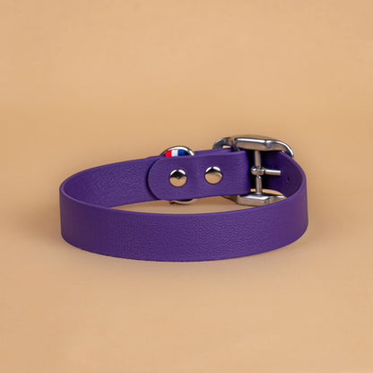 Collier violet pourpre en sangle enduite étanche similaire au biothane vu de l'arrière