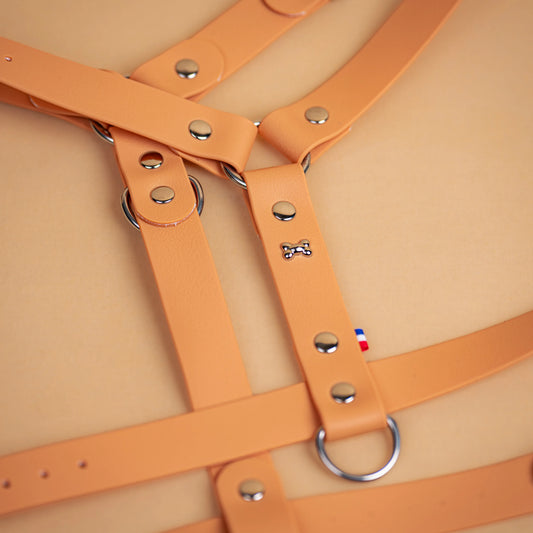 harnais en sangle enduite similaire au biothane respectueux de la morphologie du chien couleur beige zoom sur les détail bouclerie résistante en acier inoxydable et made in France