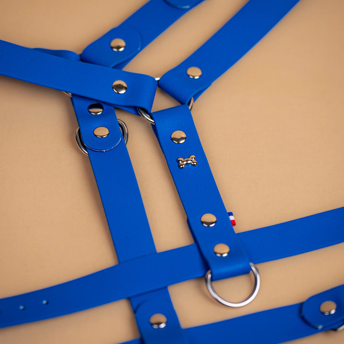 harnais en sangle enduite similaire au biothane respectueux de la morphologie du chien couleur bleu zoom sur les détail bouclerie résistante en acier inoxydable et made in France