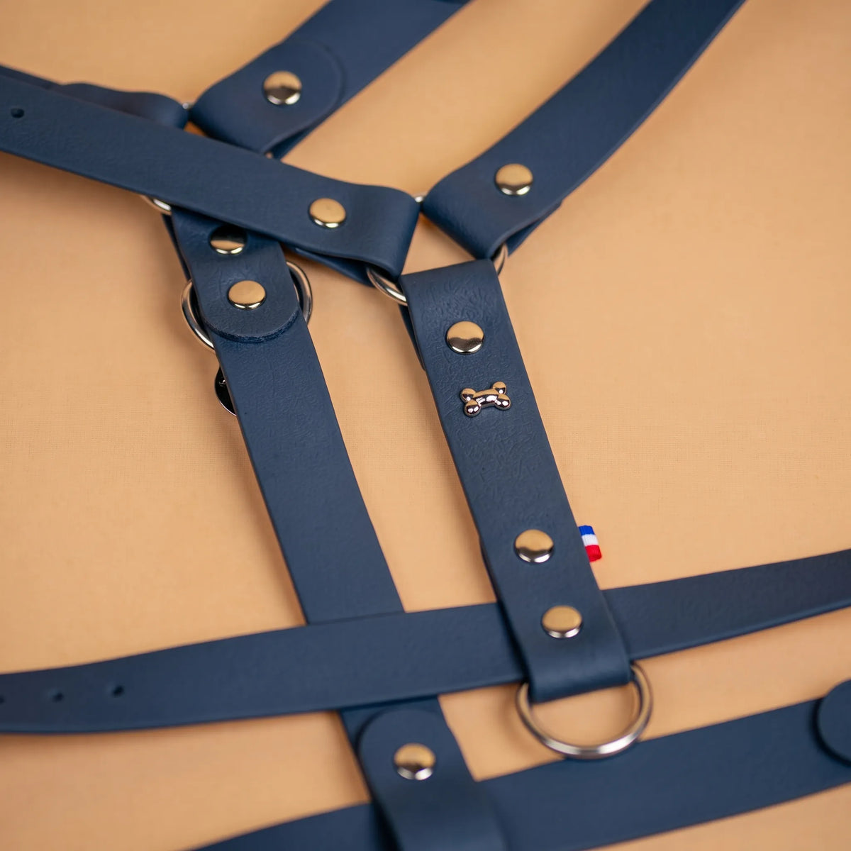 harnais en sangle enduite similaire au biothane respectueux de la morphologie du chien couleur kérosène bleu nuit zoom sur les détail bouclerie résistante en acier inoxydable et made in France
