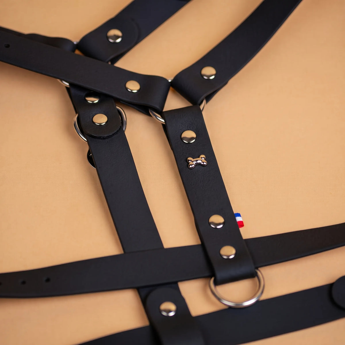 harnais en sangle enduite similaire au biothane respectueux de la morphologie du chien couleur noir zoom sur les détail bouclerie résistante en acier inoxydable et made in France