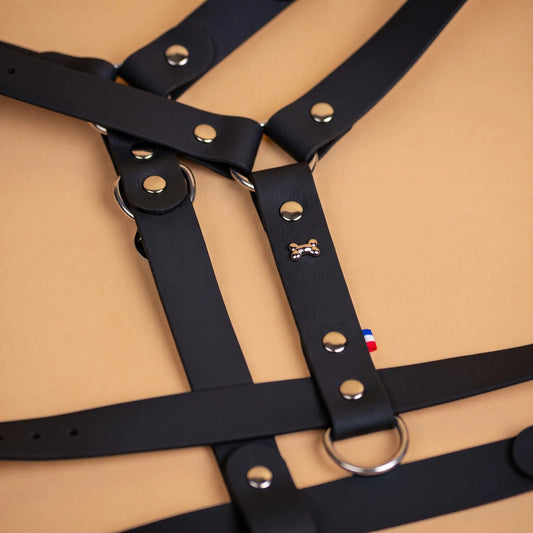 harnais en sangle enduite similaire au biothane respectueux de la morphologie du chien couleur noir zoom sur les détail bouclerie résistante en acier inoxydable et made in France