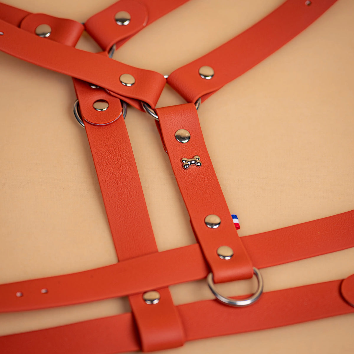 harnais en sangle enduite similaire au biothane respectueux de la morphologie du chien couleur orange terracotta zoom sur les détail bouclerie résistante en acier inoxydable et made in France